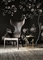 Antropomorfe Lou Gelezen Leunstoel door Philippe Starck-Facultatieve Kleur leverancier