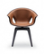 De replicaglasvezel Poltrona Frau Ginger Chair ontwierp door Roberto Lazzeroni leverancier