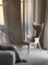 Antropomorfe Lou Gelezen Leunstoel door Philippe Starck-Facultatieve Kleur leverancier